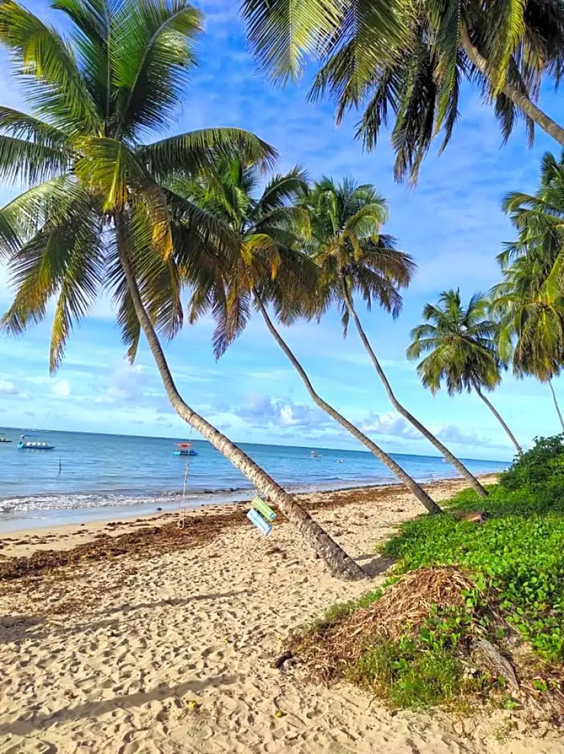 Pousada Sunshine Patacho