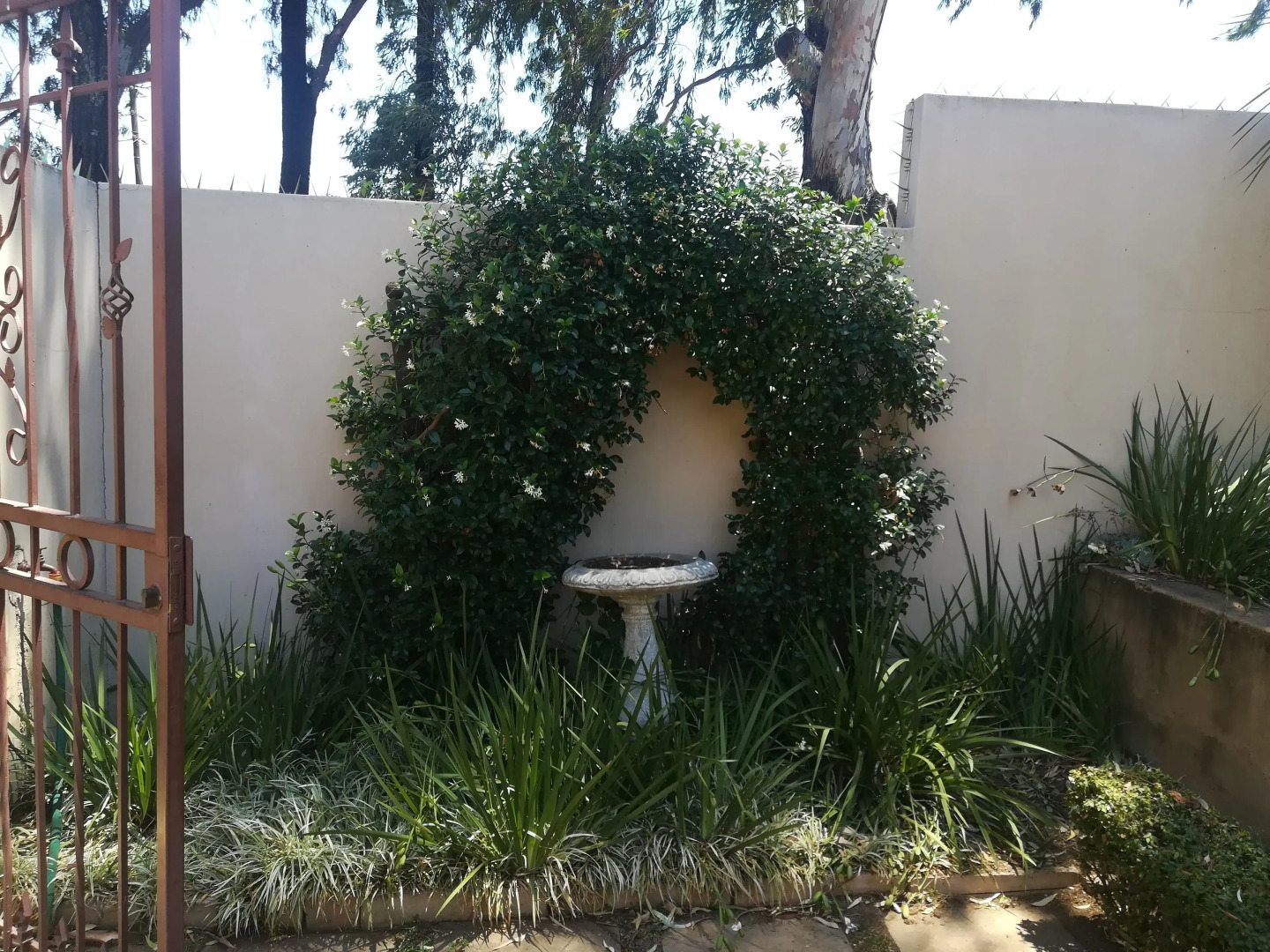 The Moon and Sixpence Garden Guest House