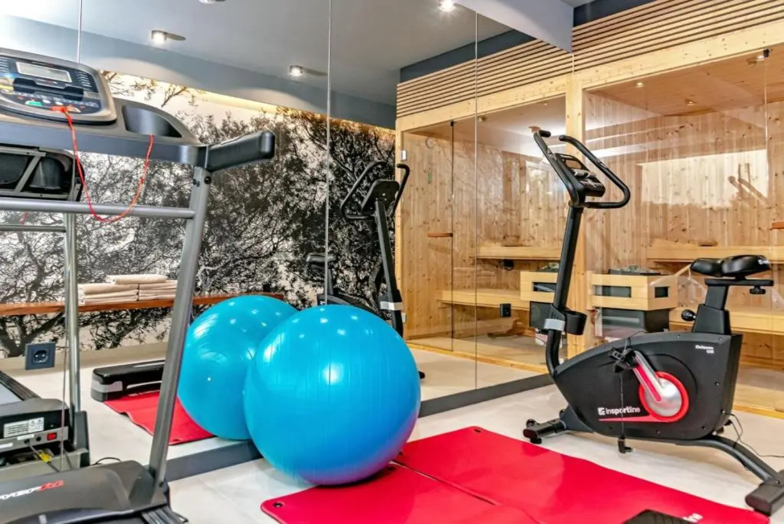 Luxury Villa Delight I Promajna with pool, gym, sauna and jacuzzi