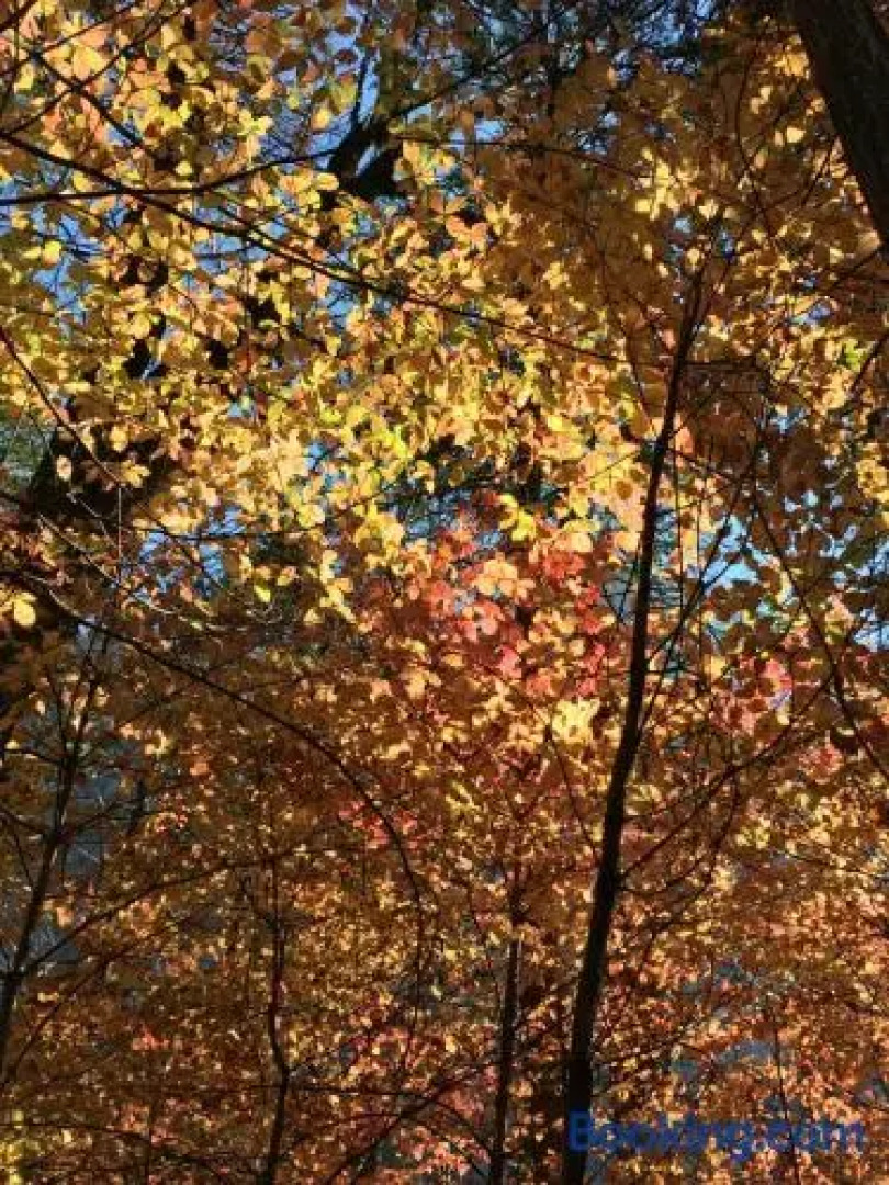 Sierra Mountain Lodge