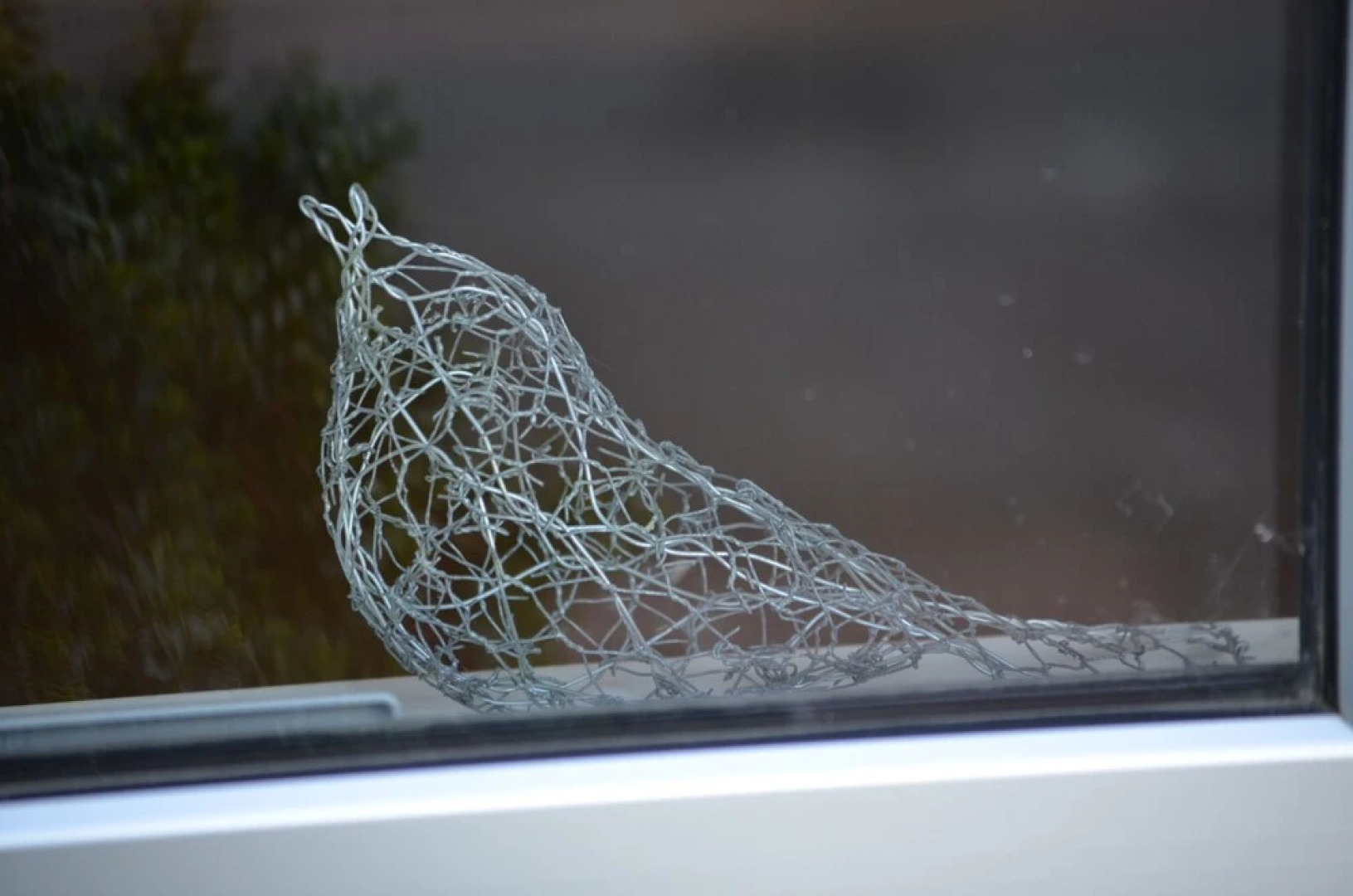 The Cloan At The Catlins