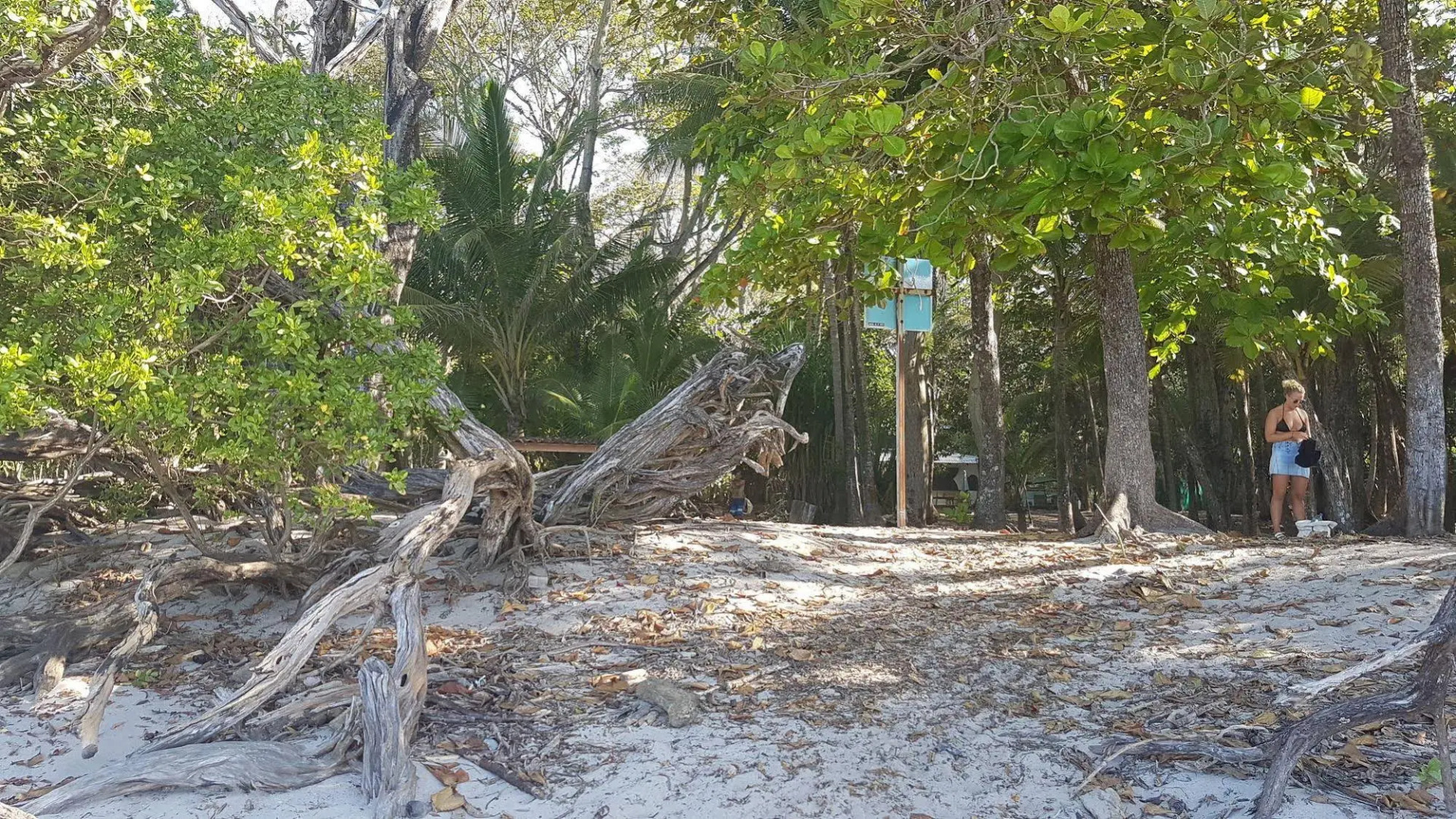 Selina Santa Teresa North