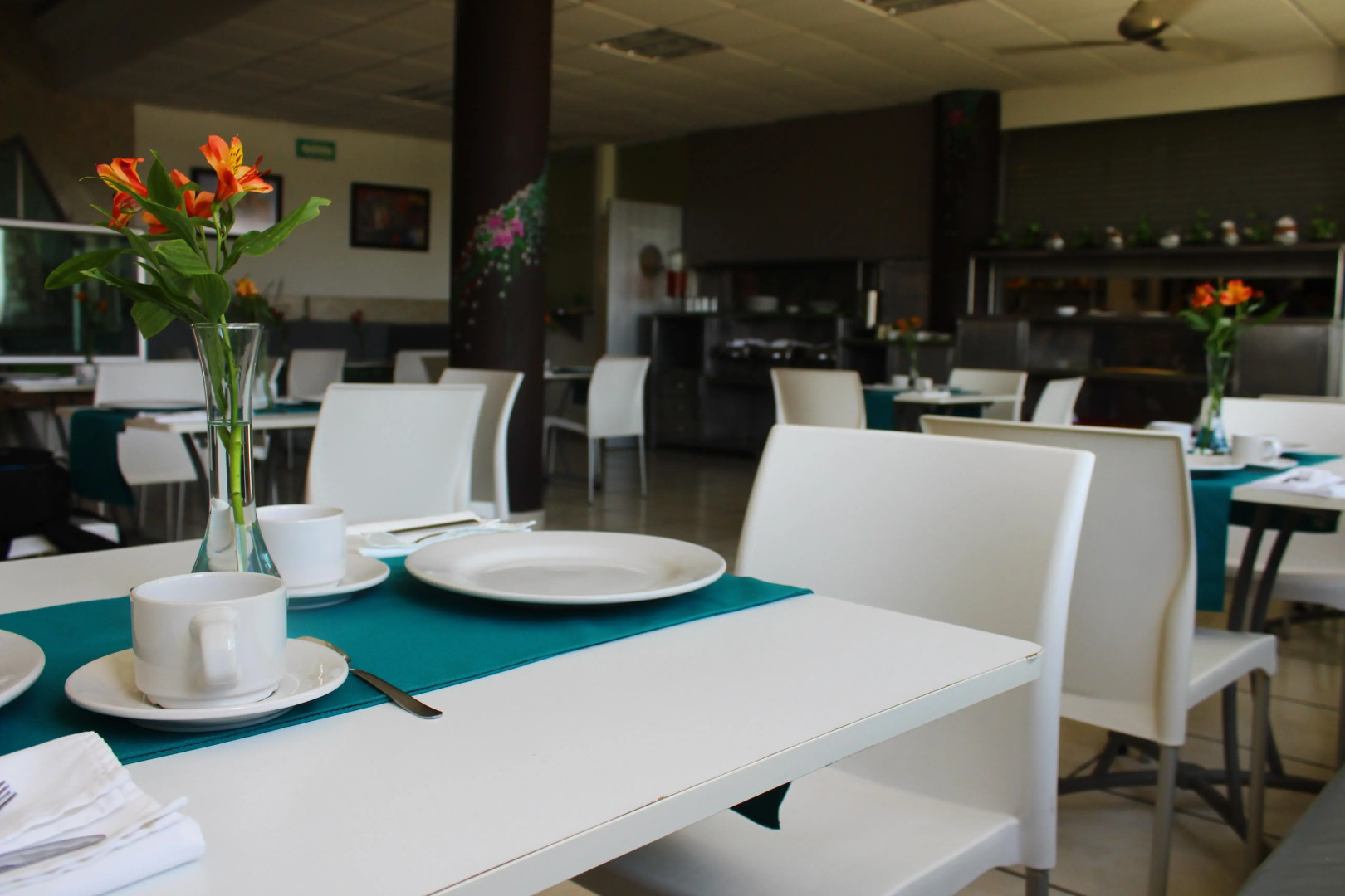 Chiapas Hotel Express