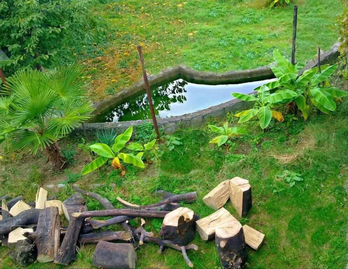 Фермерский гостевой дом