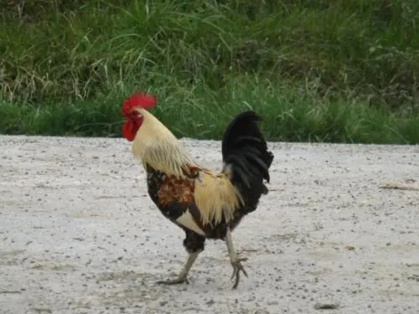 Chambres dhôtes Boudeau