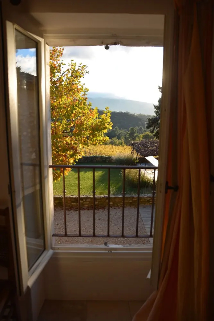 La Couleur des Vignes