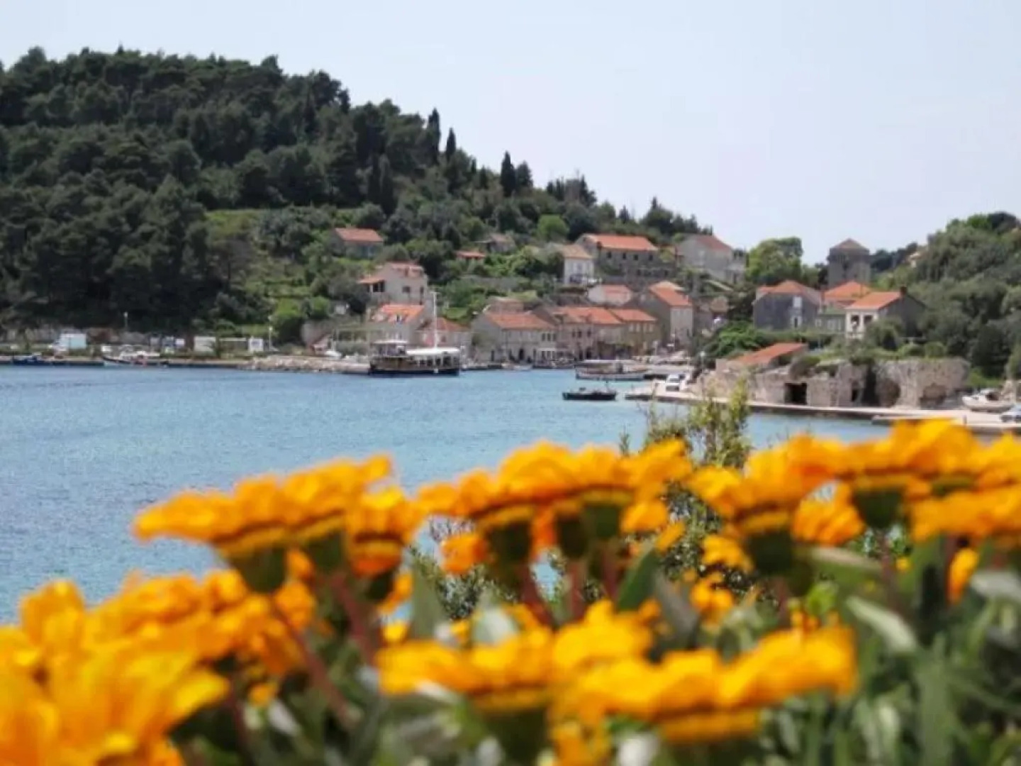 Guest House Simunovic