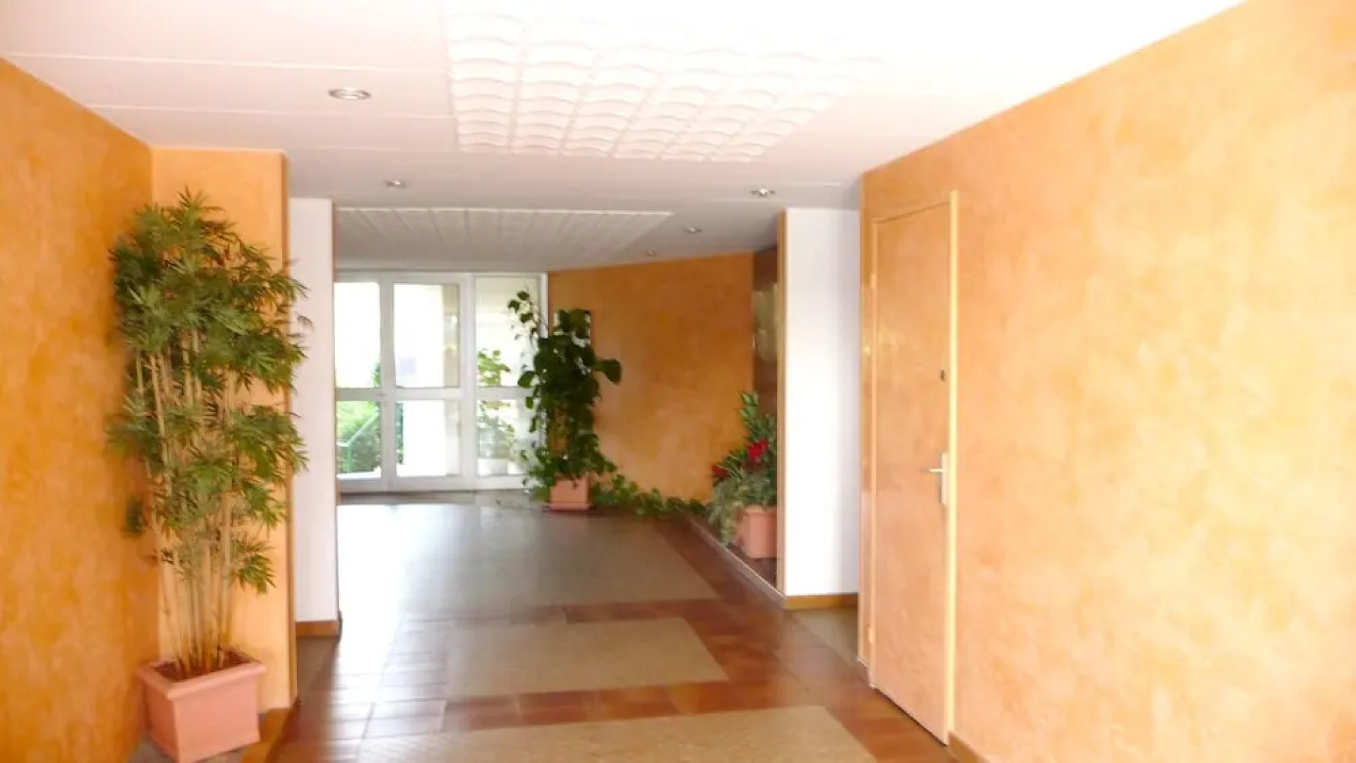 Apartment With one Bedroom in Mandelieu-la-napoule, With Wonderful Mou