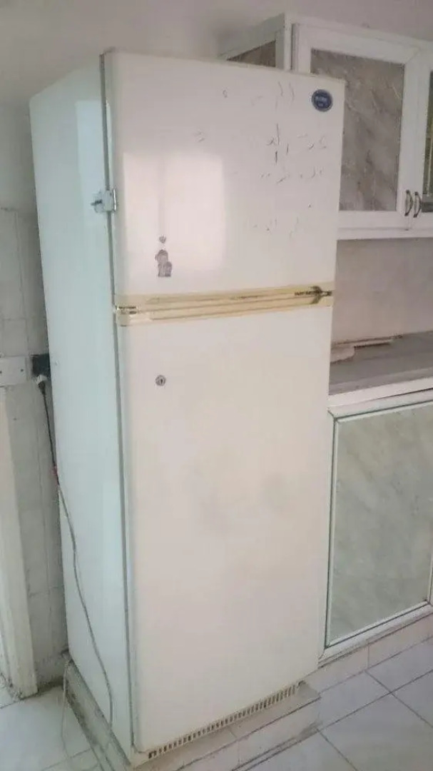 Petra Cabin Roof Top Hostel