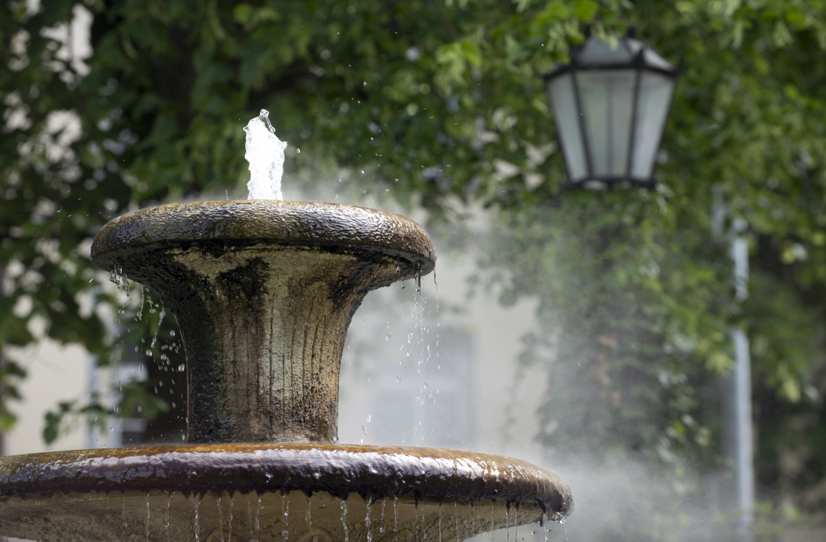 Badischer Hof Baden-Baden - Leonardo Limited Edition