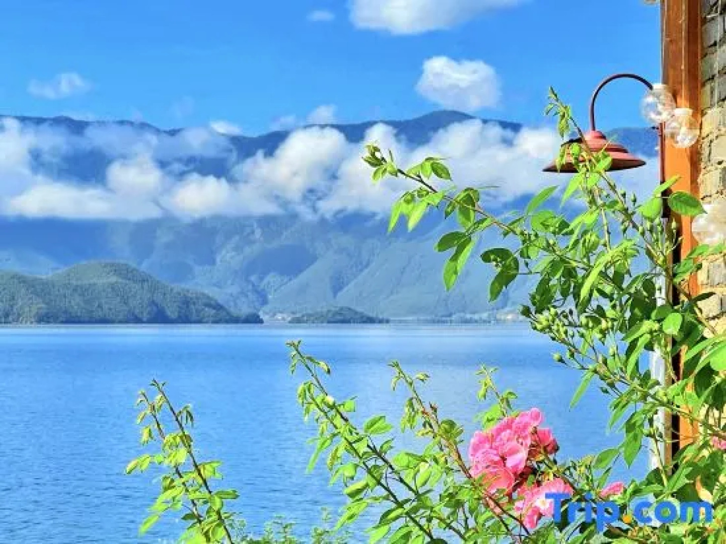 Nibawo Muchen Hostel