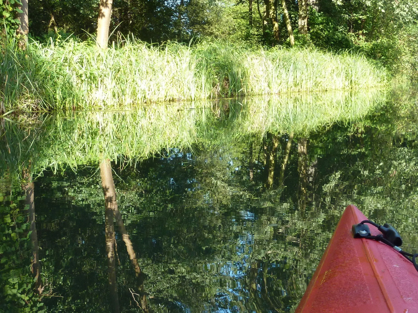 Spreewald - Pension Spreeaue