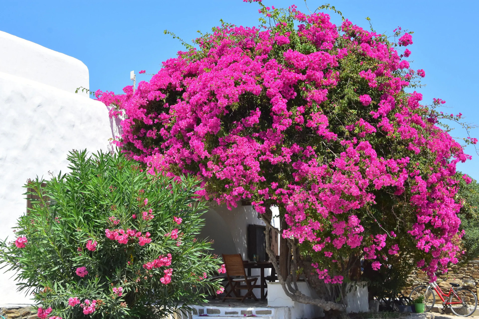 Petra Holiday Village