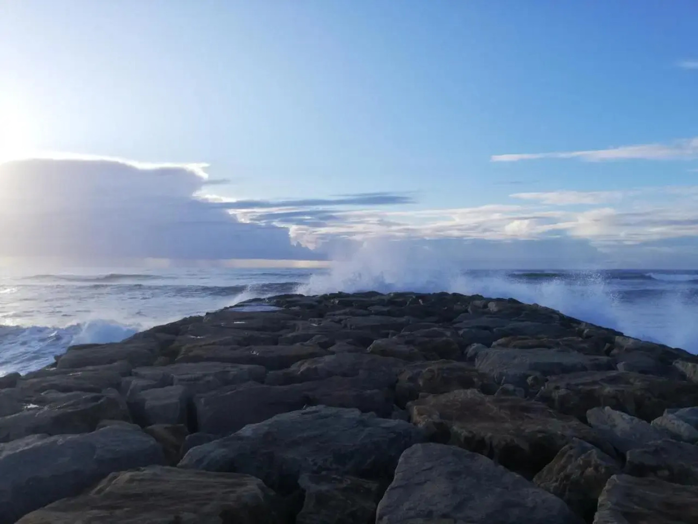 O VIOLAS — Tapas & Bed