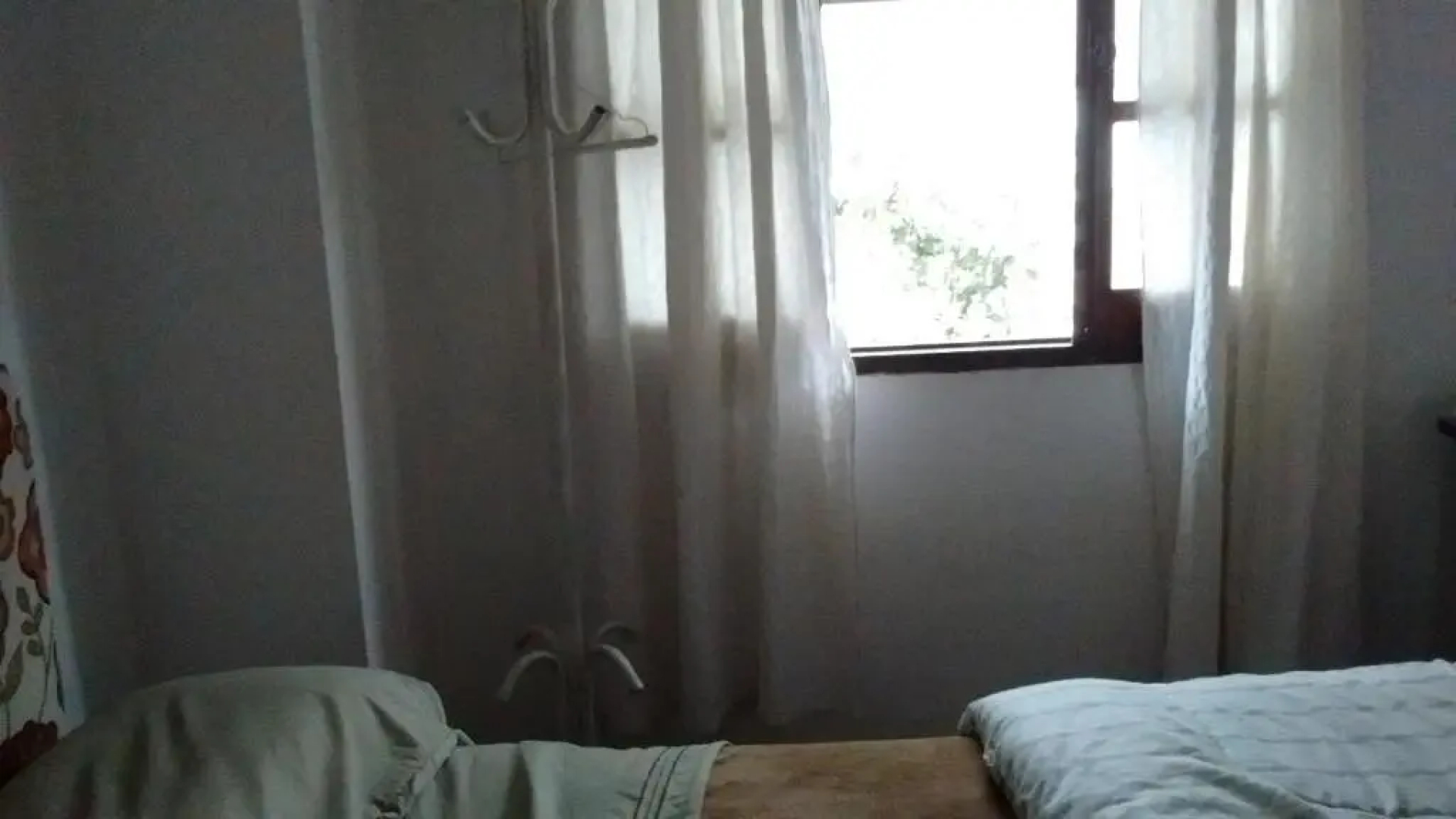 Arrullo de Luna