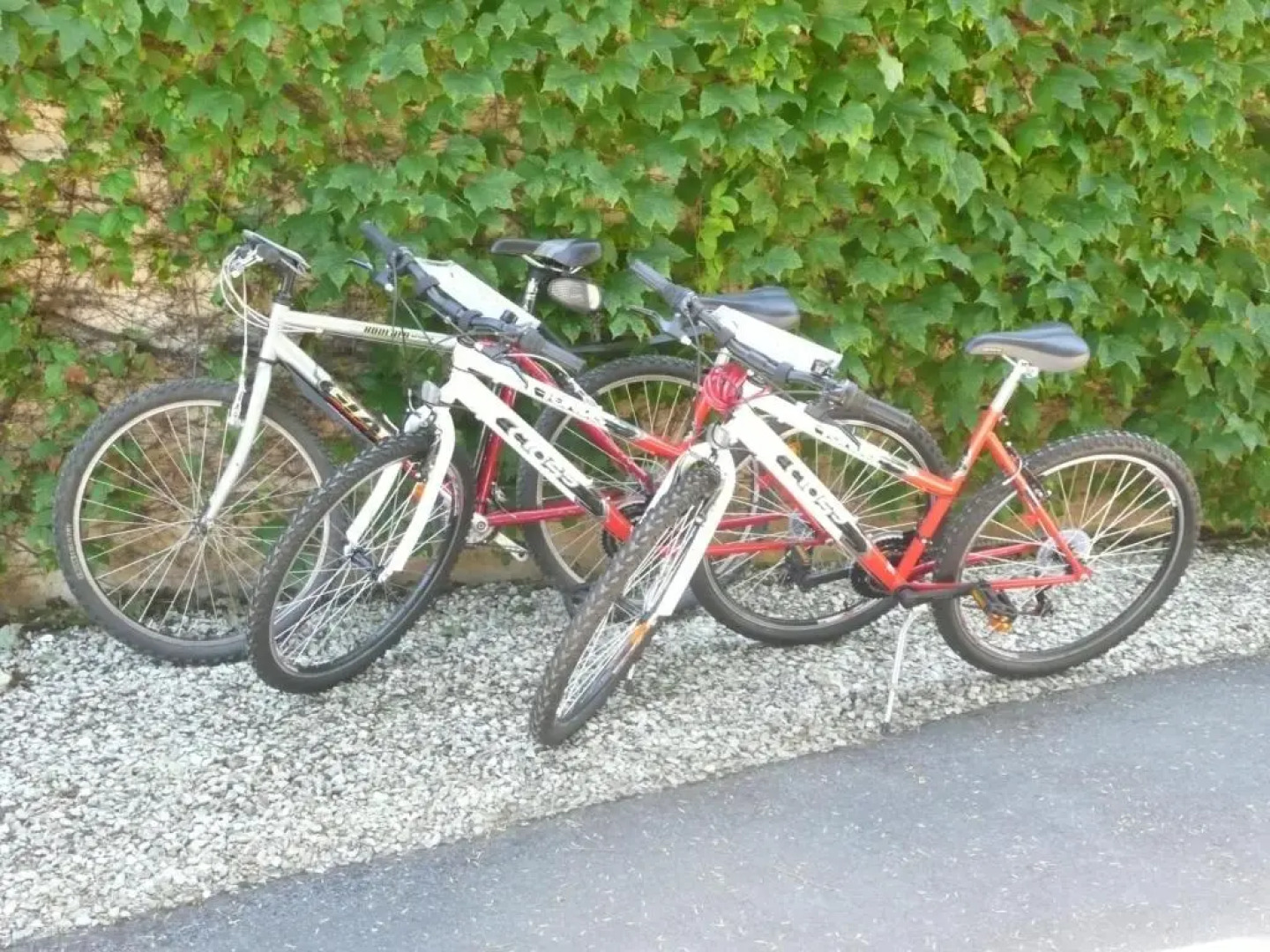 Hôtel du Lion d'Argent et des Tanneries
