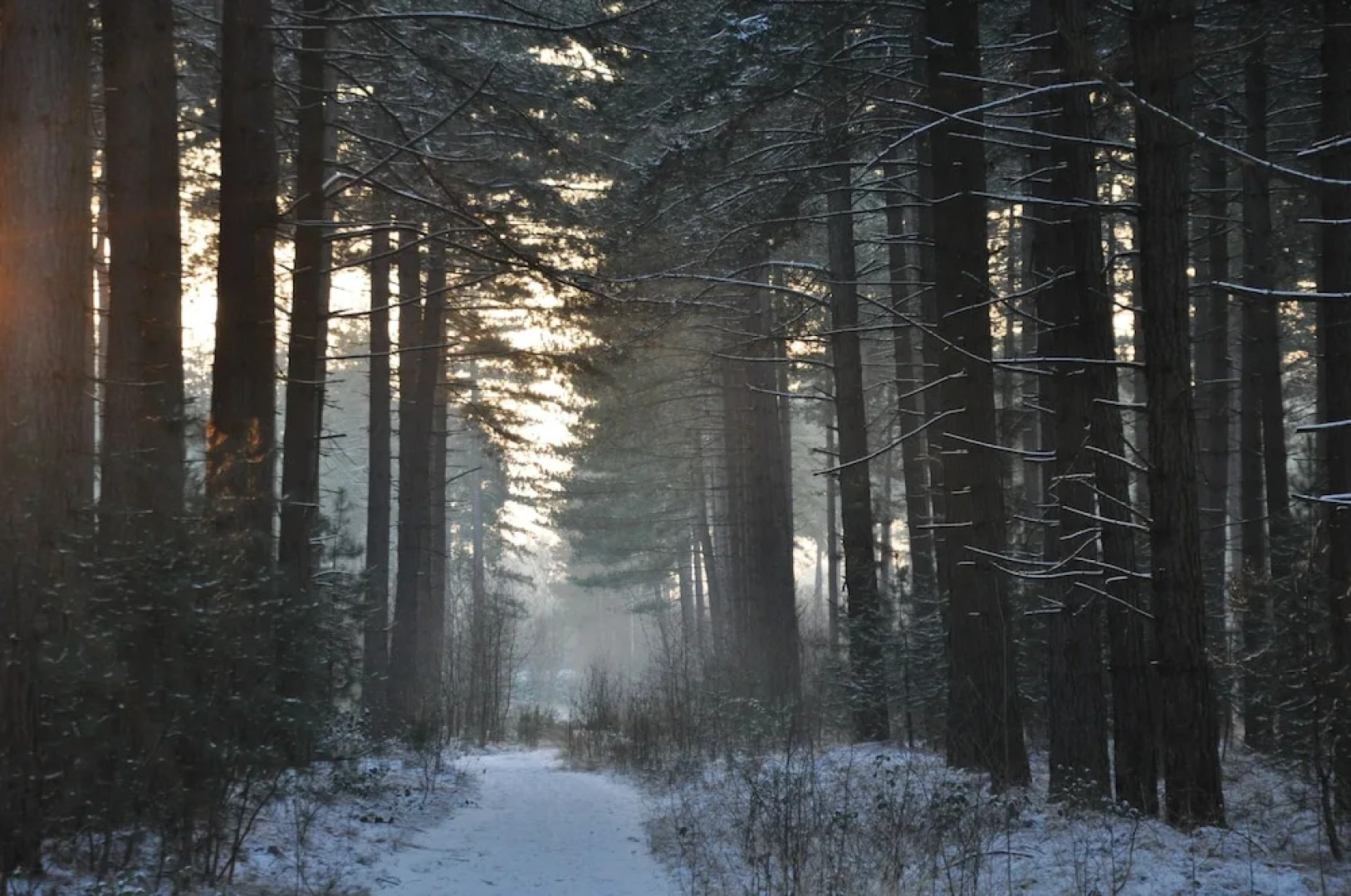 Hotel Jerom Kalmthout