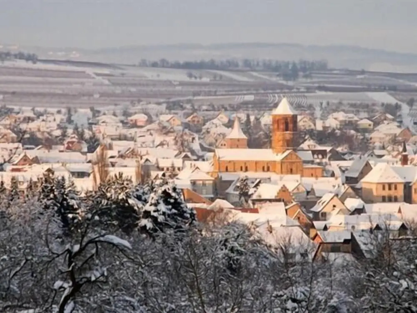 Maison D'hôtes La Rose D'alsace