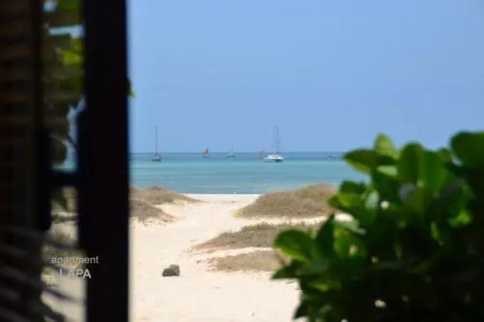 BookingBoavista - Coral