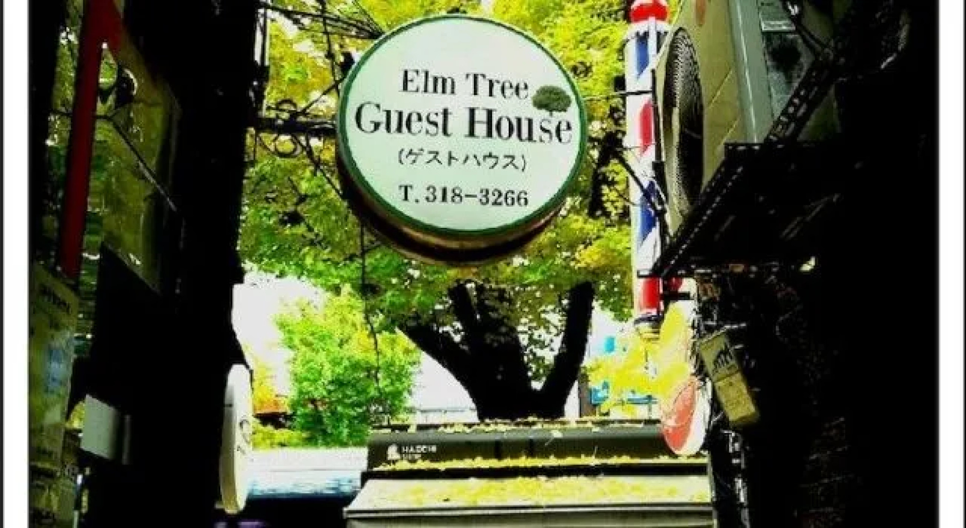 Elm Tree Guesthouse Myeongdong