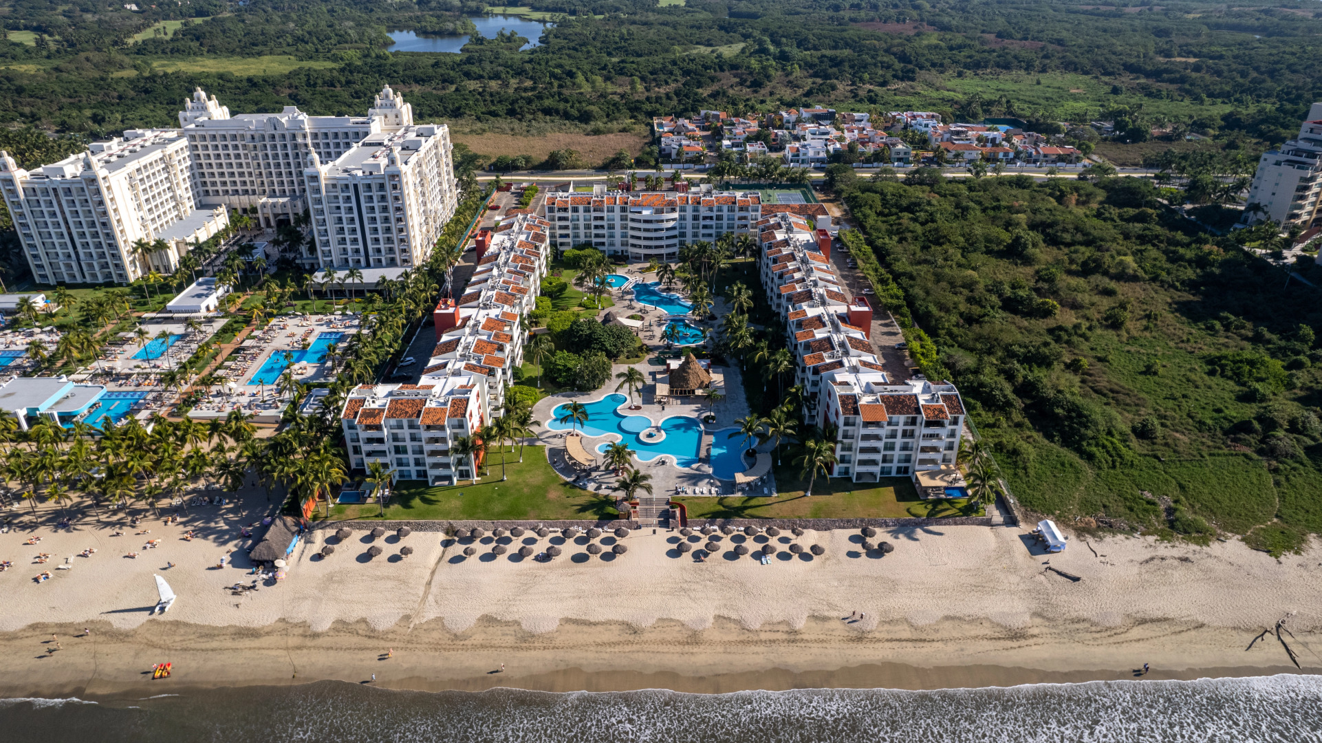 Flamingos Conchas 502