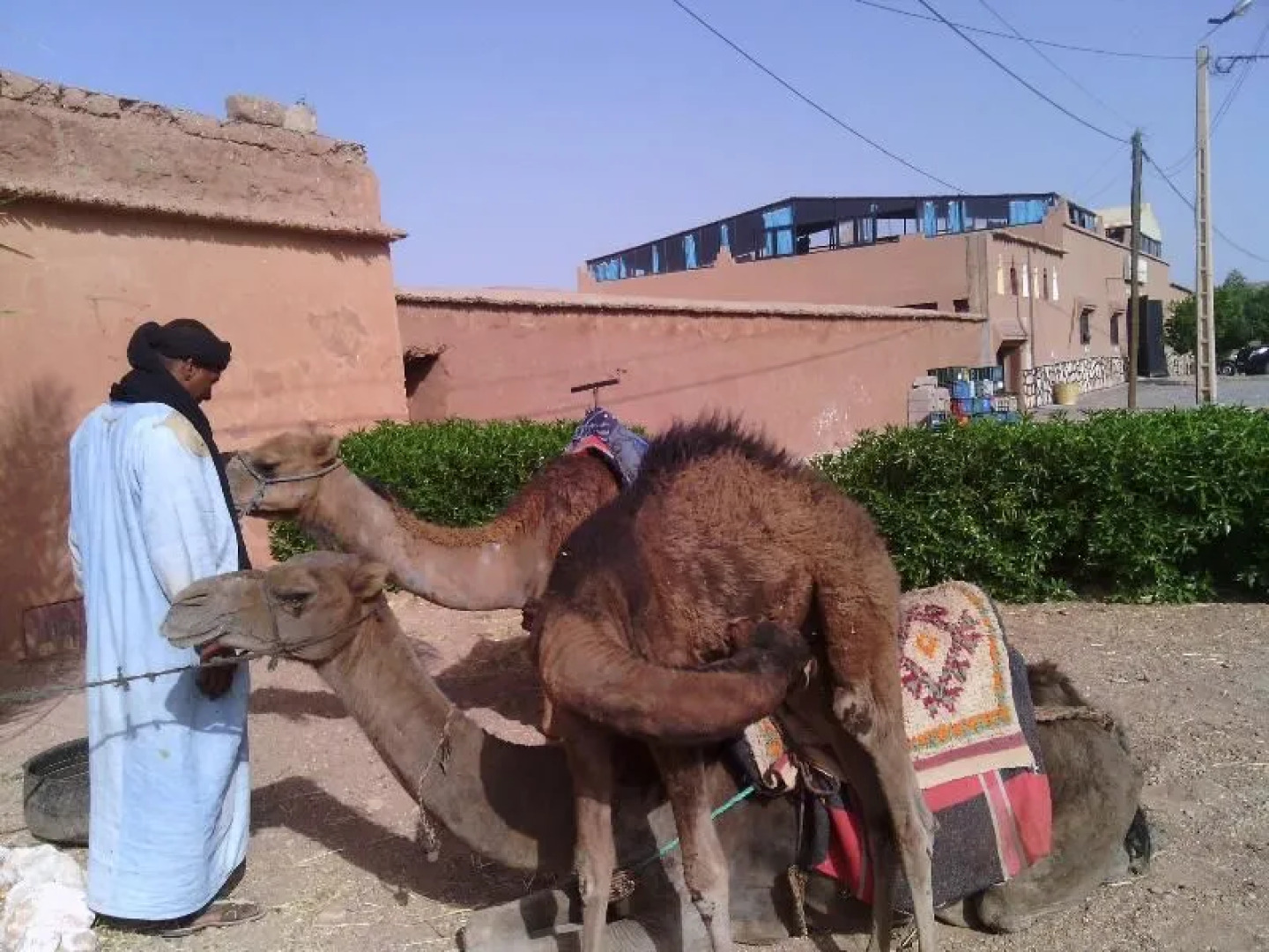 étoile filante d'or