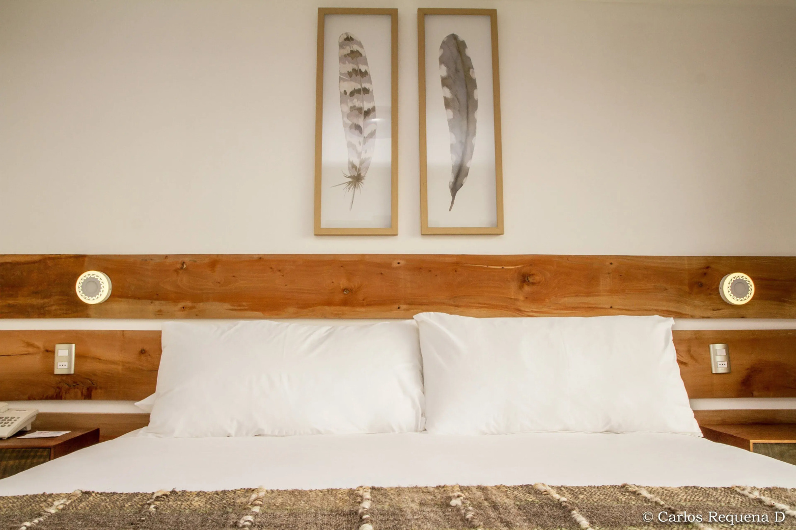 Hotel Borde Glaciar