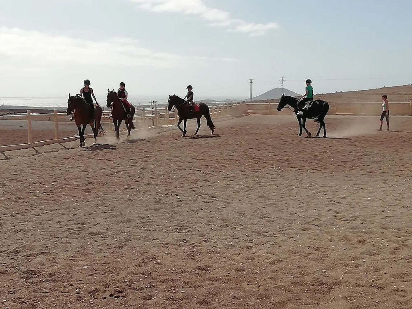 Seven Islands Apartamentos B&B