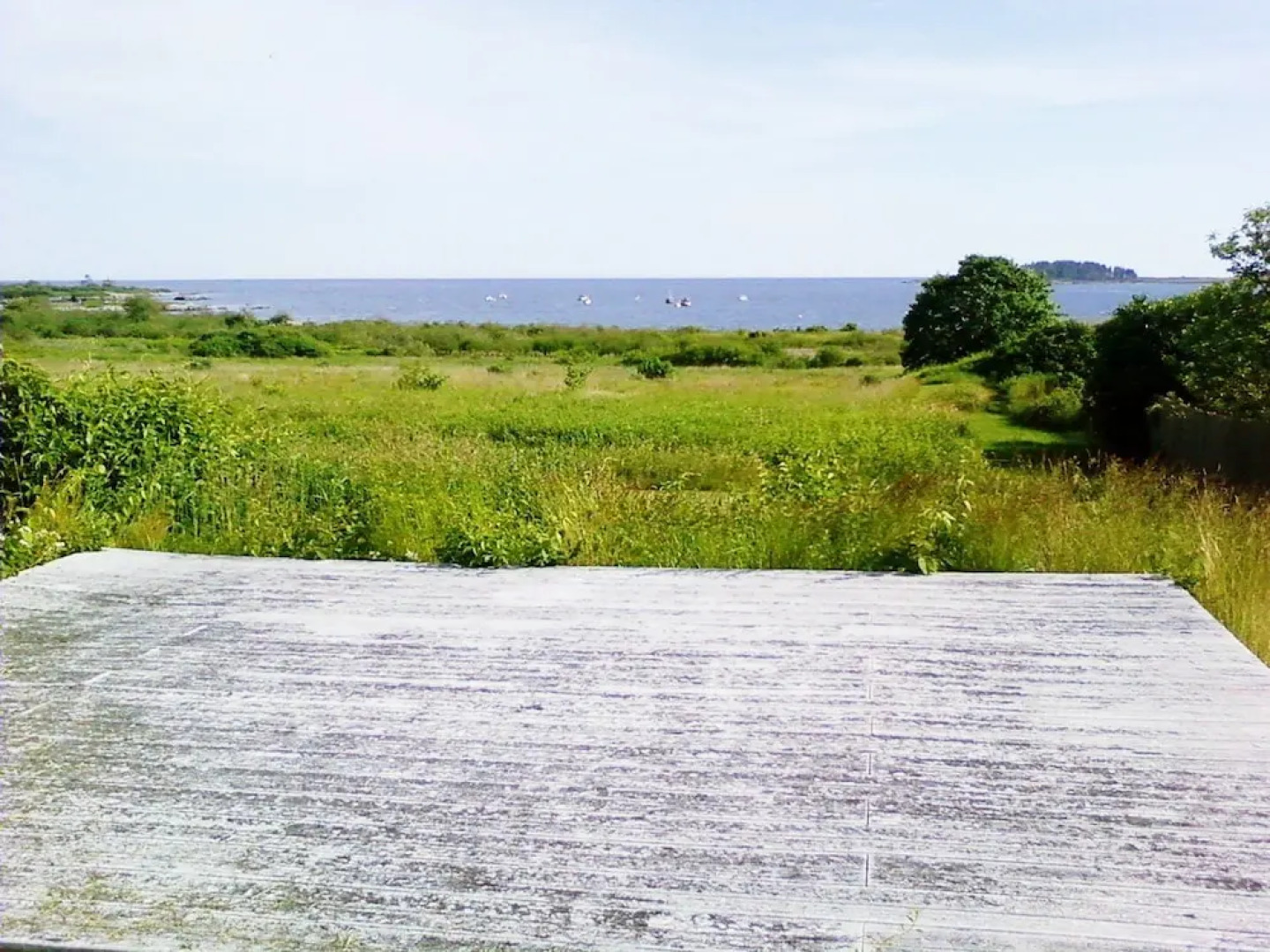 10 Ocean Street Cottage - 1 Br cottage by RedAwning