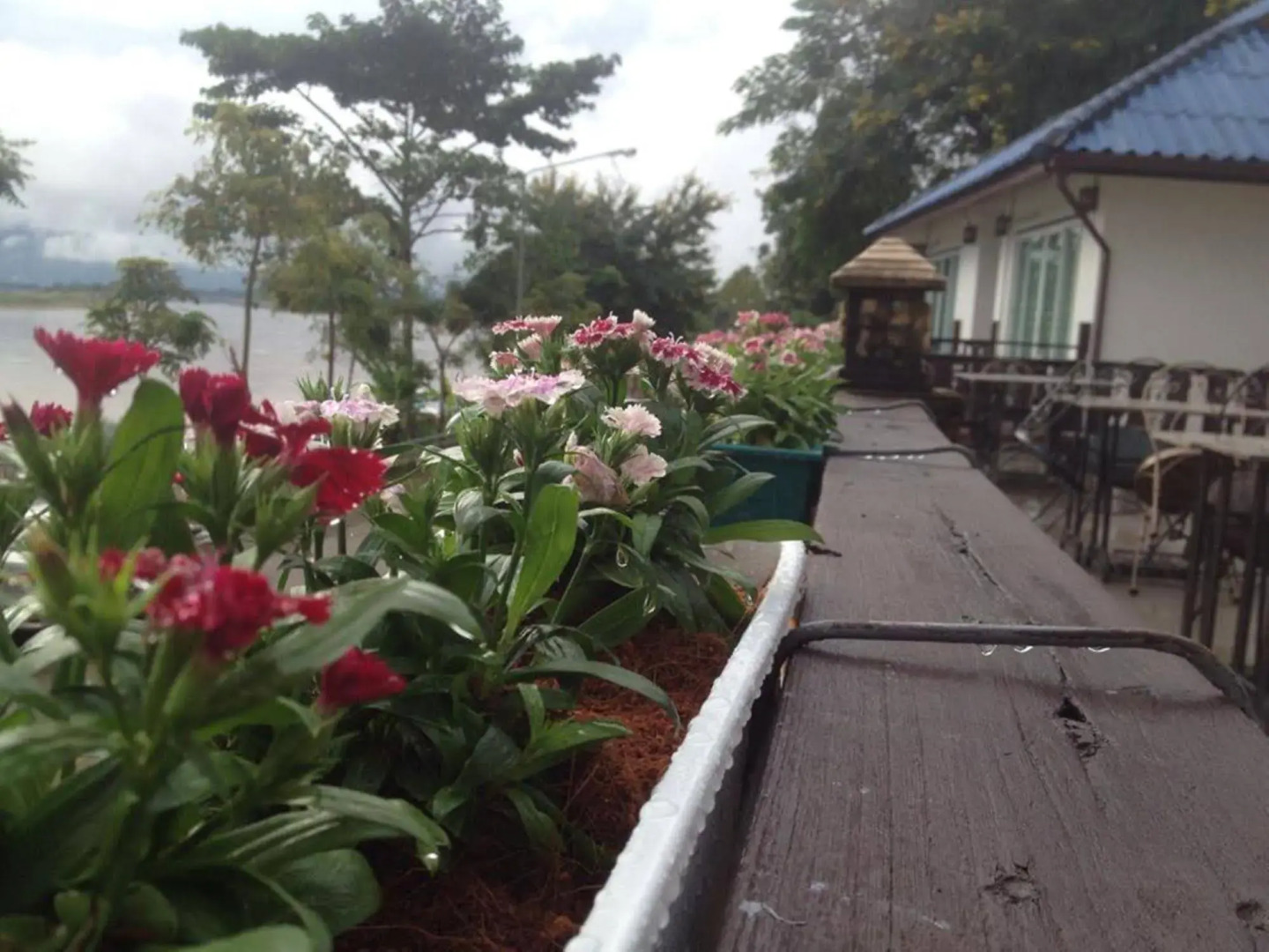 The River House Hotel