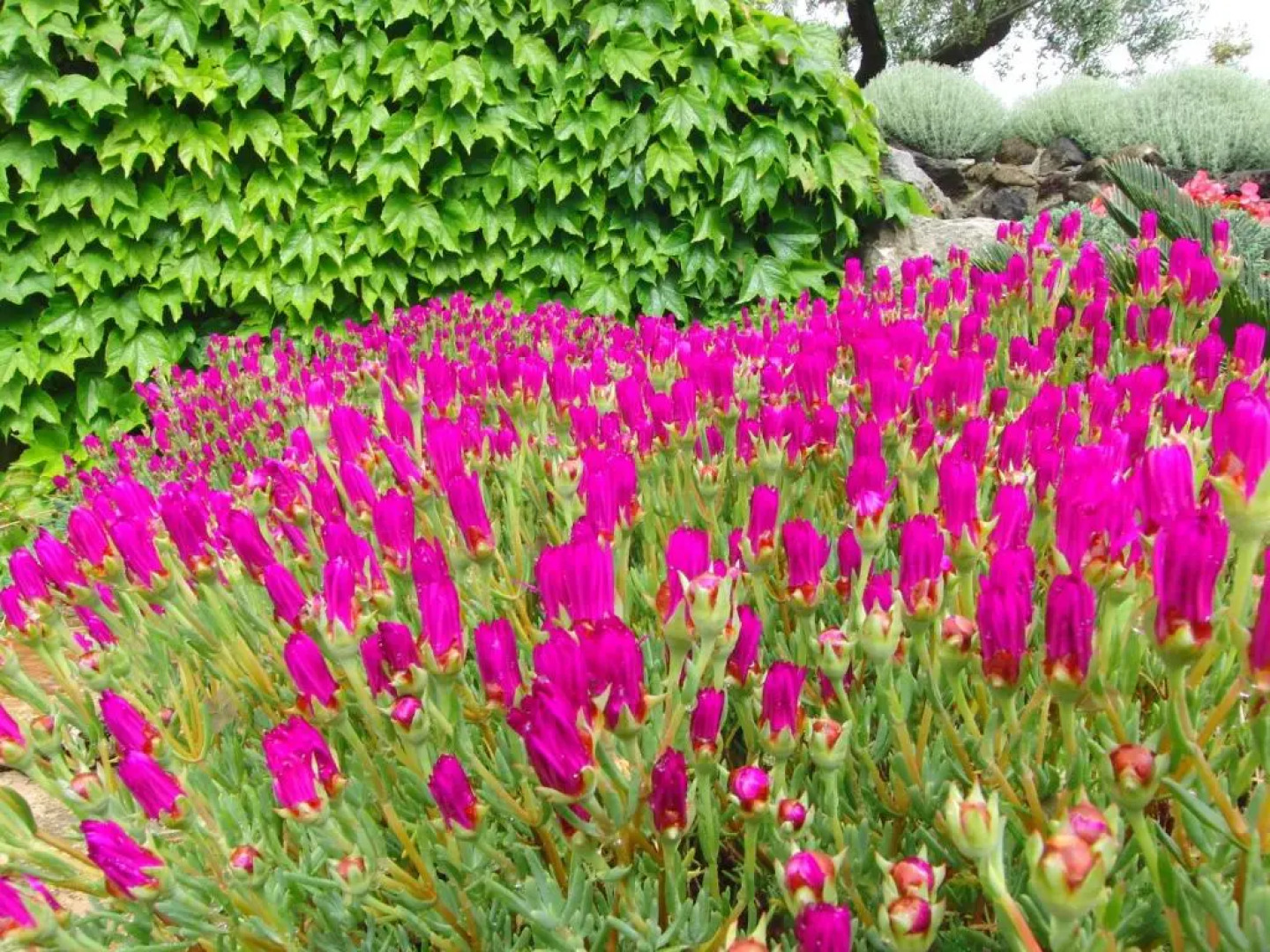 Locanda Degli Etruschi