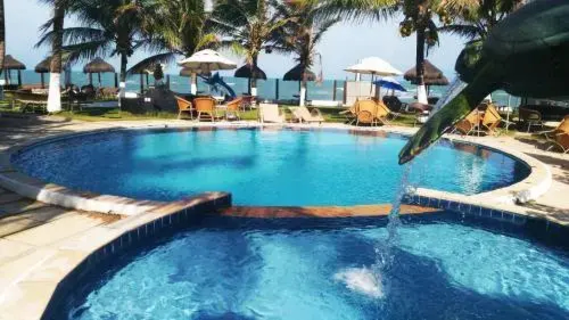 Paraíso das Tartarugas