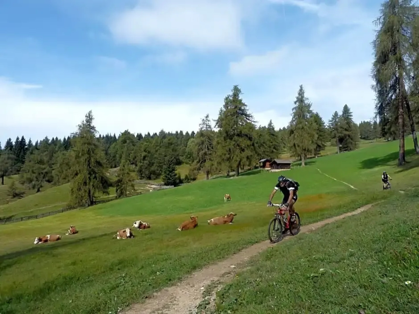 Pension Schlaneiderhof