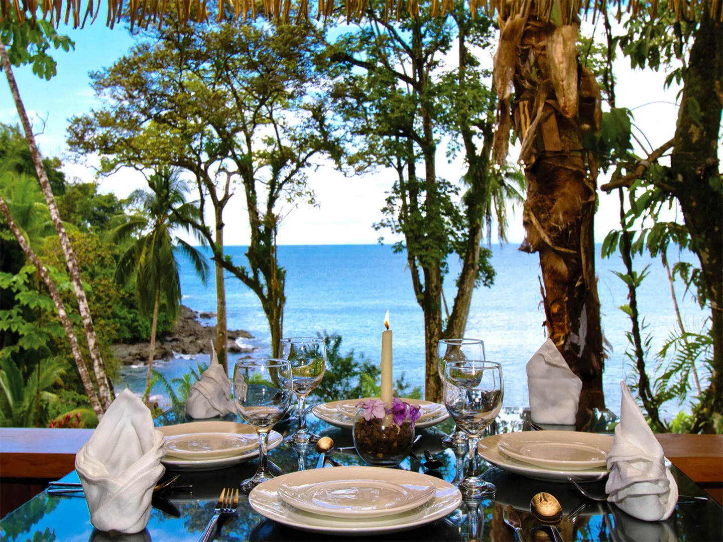 Copa De Arbol Beach & Rainforest Resort