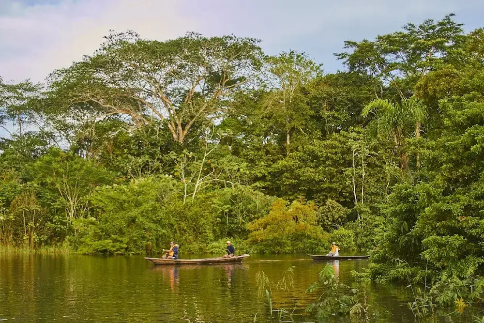 Jungle Experiences Zafiro