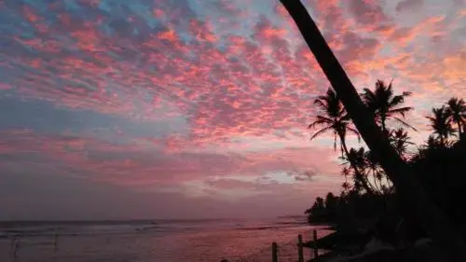 Serendipity Del Re Leone Guesthouse