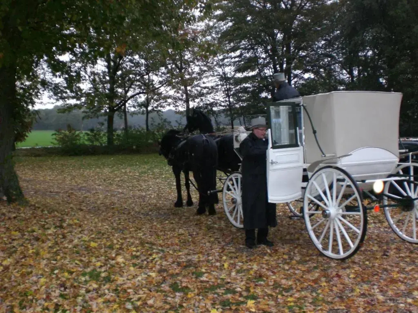 Hoeve de Haar B&B&More