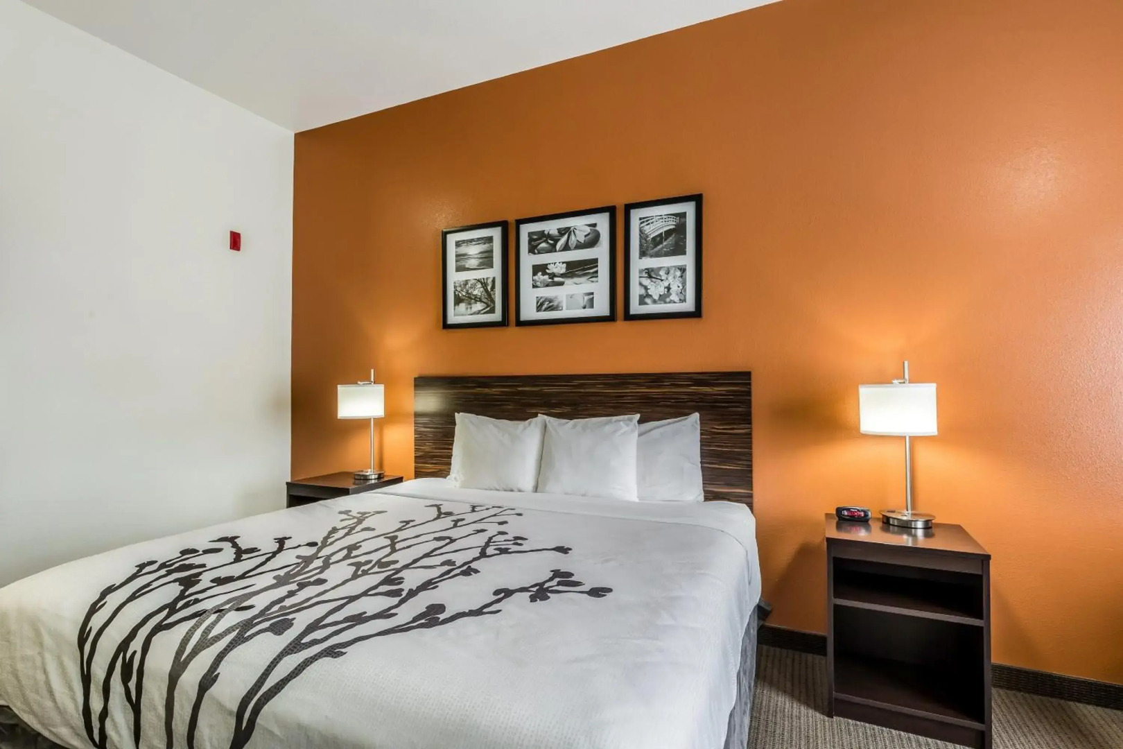 Sleep Inn & Suites Stafford - Sugarland