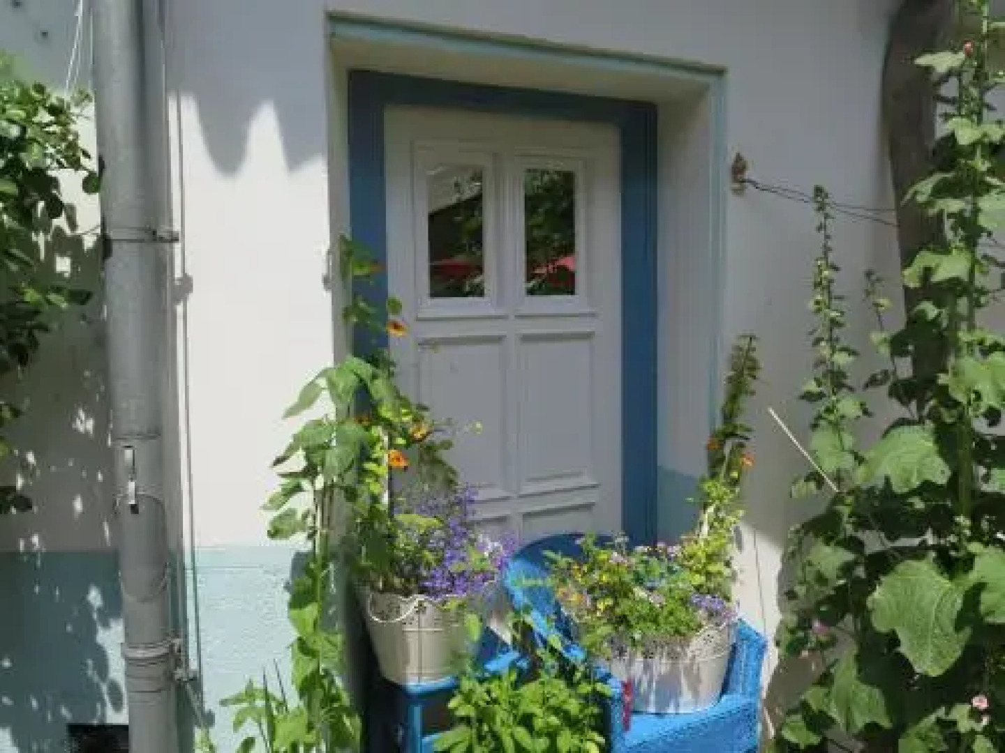 Stieglerhof Apartments