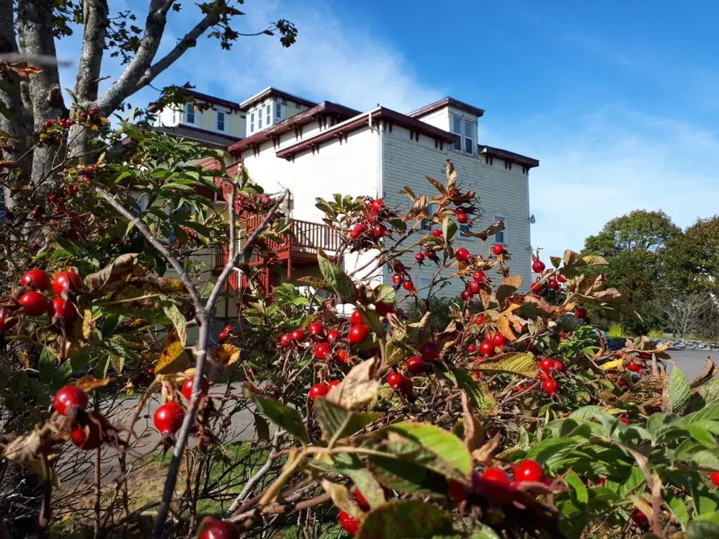 B&B Homeport Historic c1858