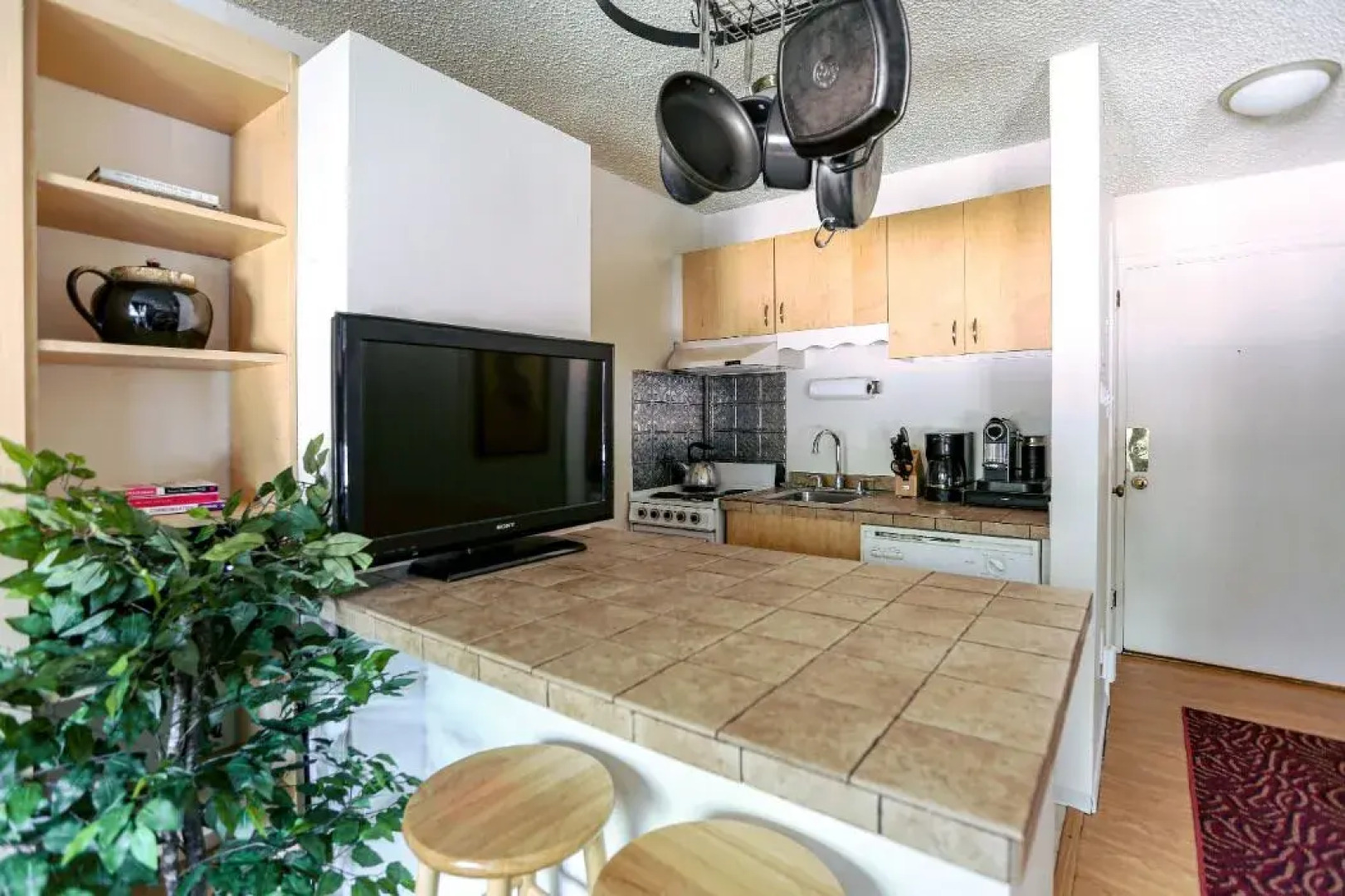 HOLT - Glorious & Rugged Heart of Aspen Studio