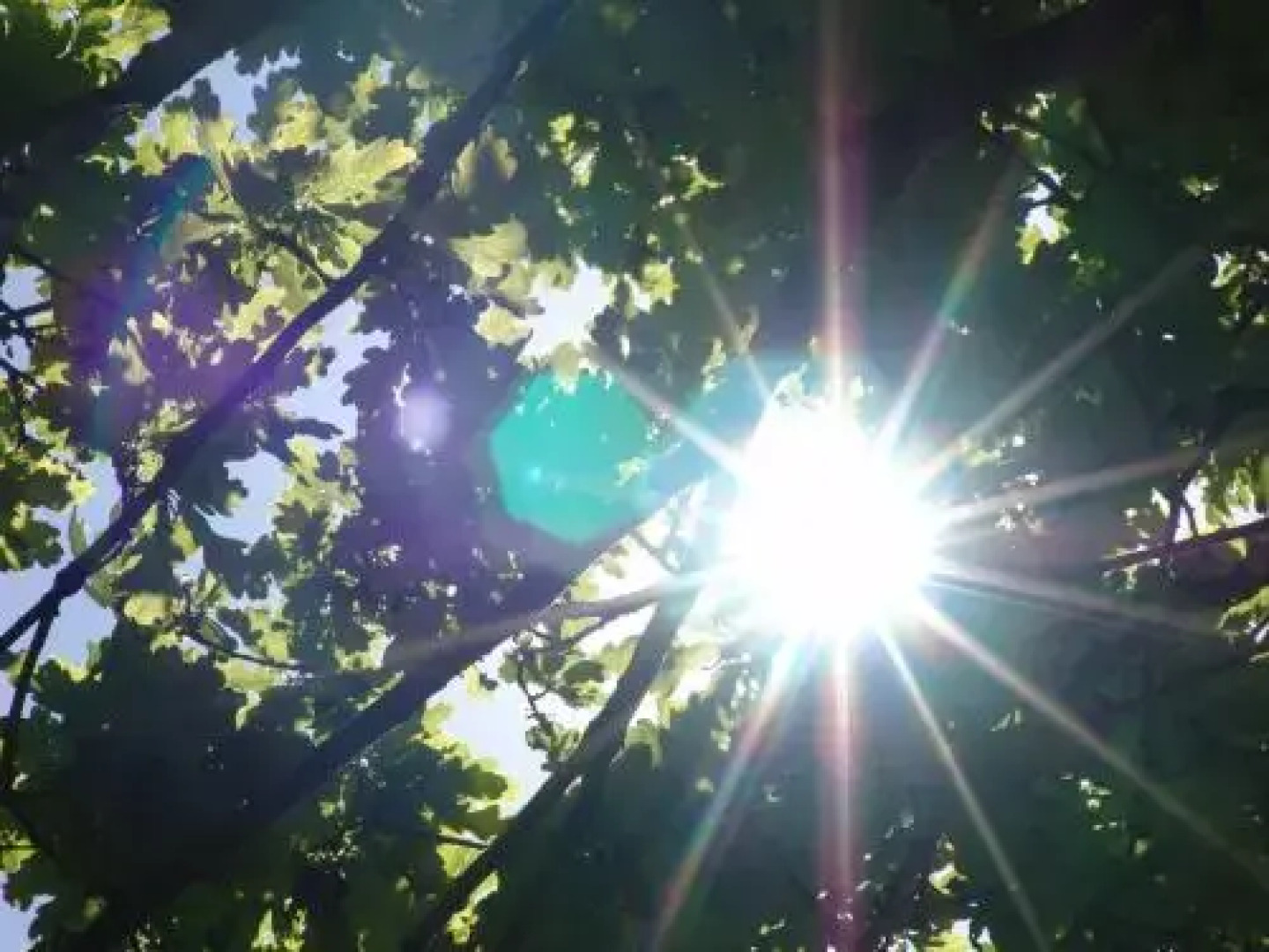 Zouch Farm Bed & Breakfast