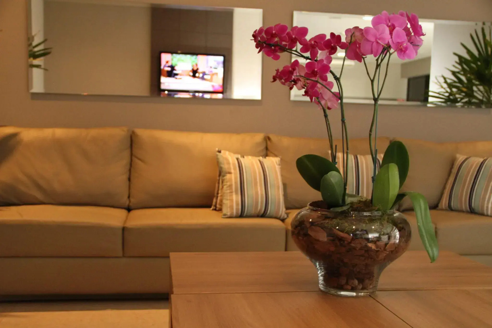 Hotel Horto