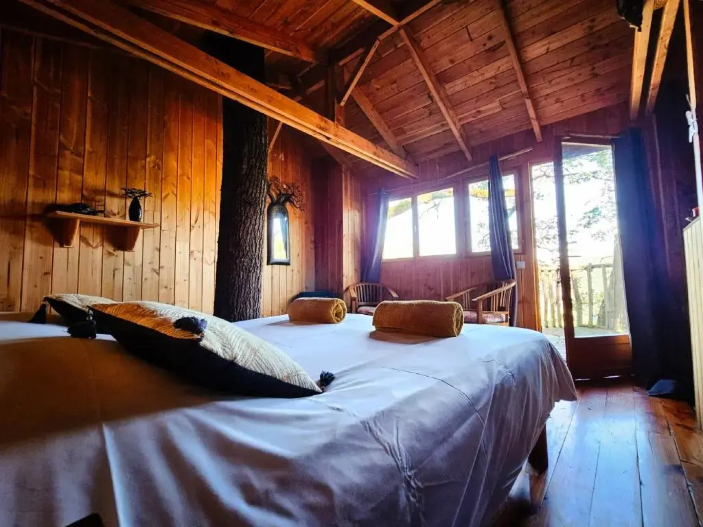 Hetre Sous Le Charme