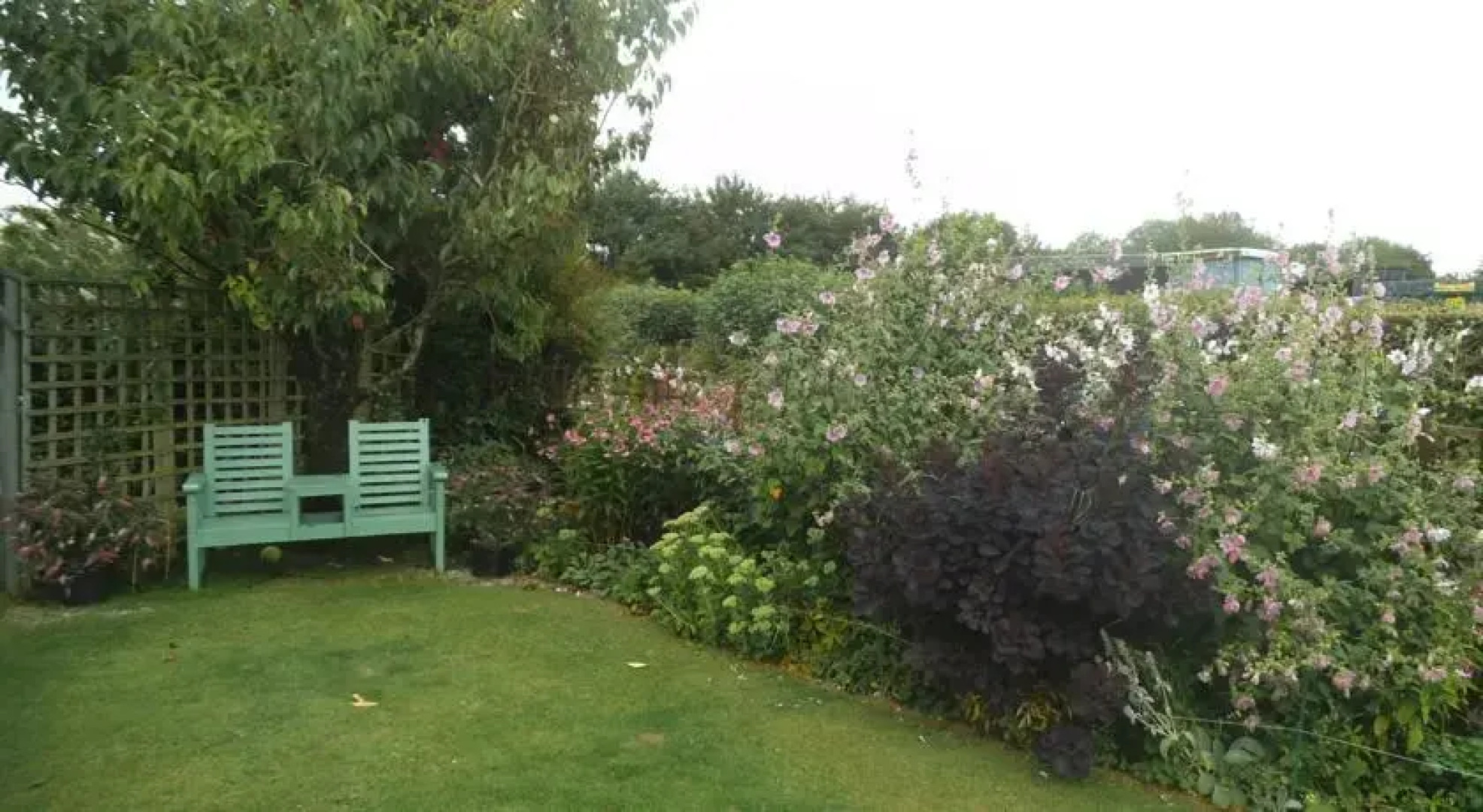 B&B Meadow View Bentwitchen