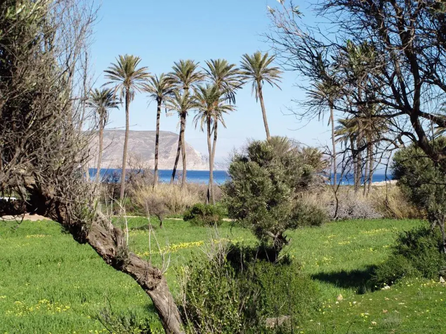 Hotel Los Patios - Parque Natural