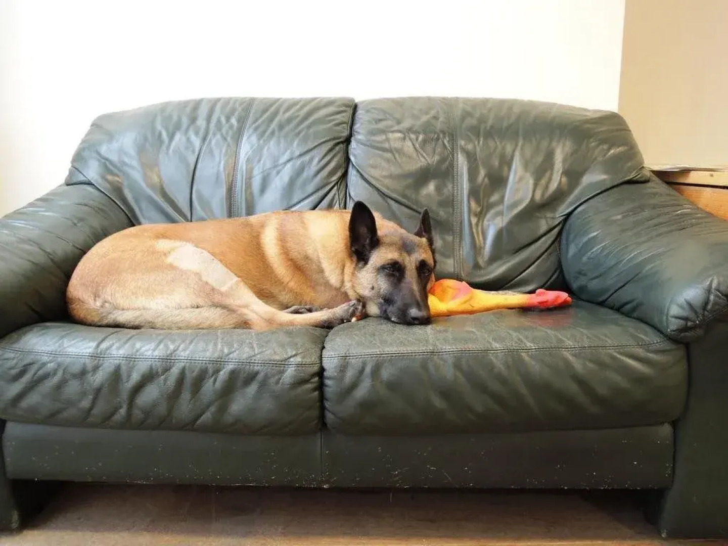 3BE Backpackers Bed & Breakfast Eindhoven