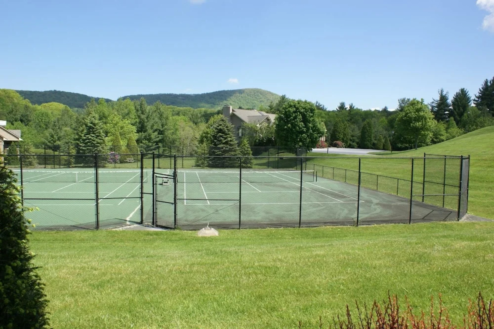 Holly #3 - 1 Bedroom Condo