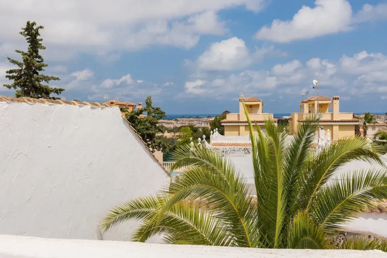 Fidalsa Reminds Ibiza