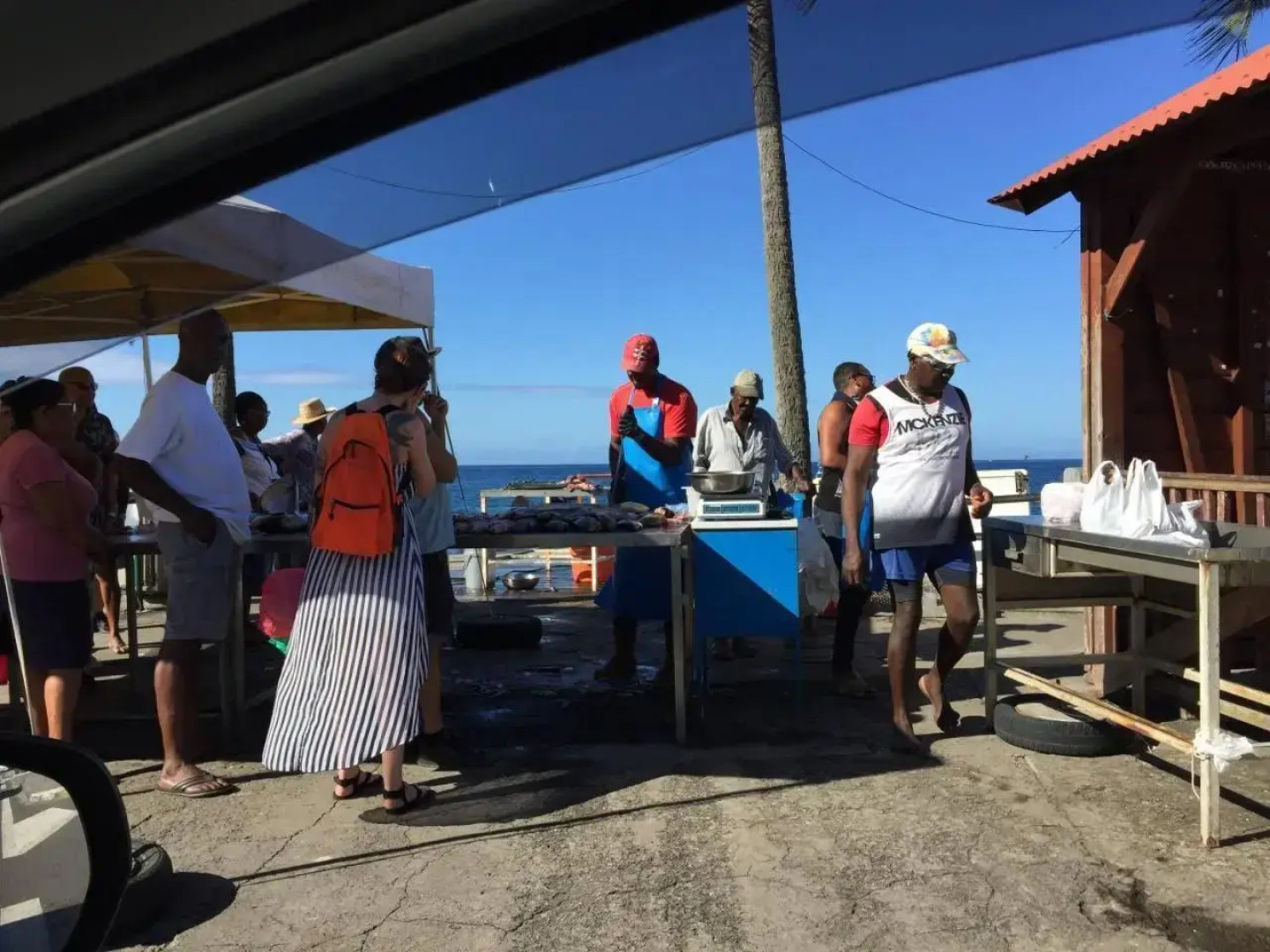 T2 tropical en bord de piscine à 100m de la mer